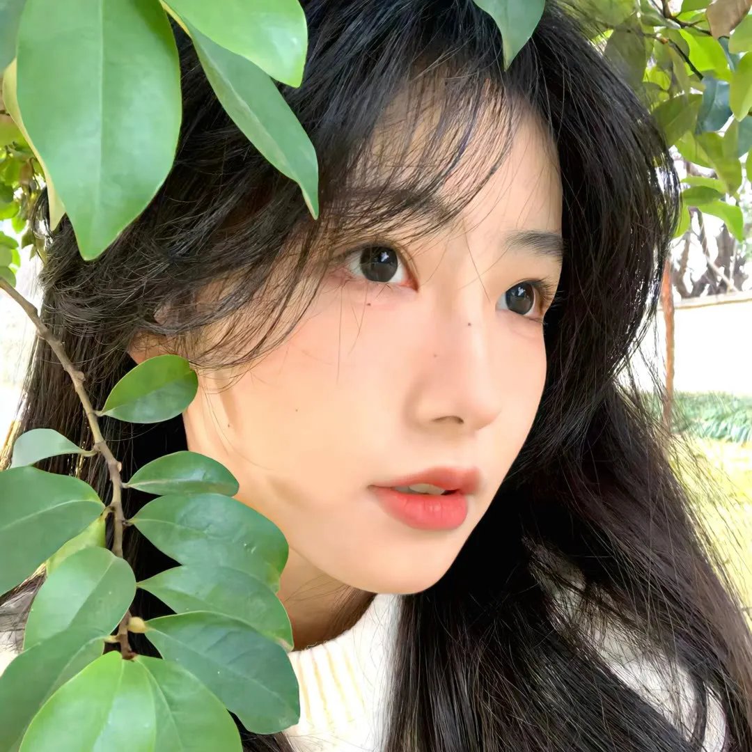 渡你一世安暖